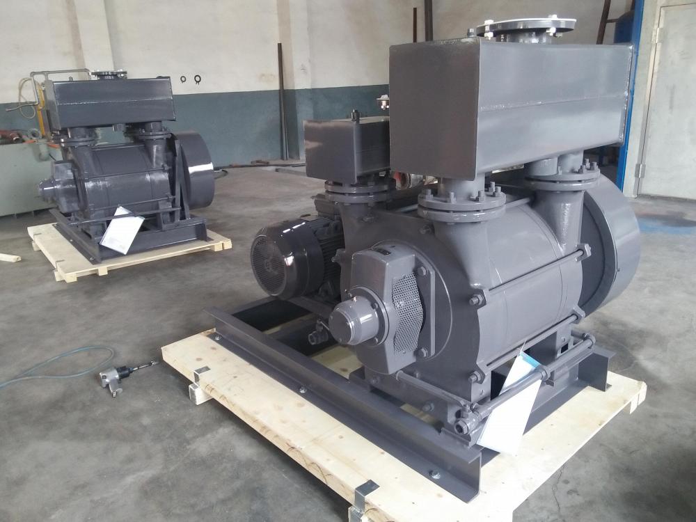 2BE1 303-0 Liquid Ring Vacuum Pump/Rotary Vacuum Pump