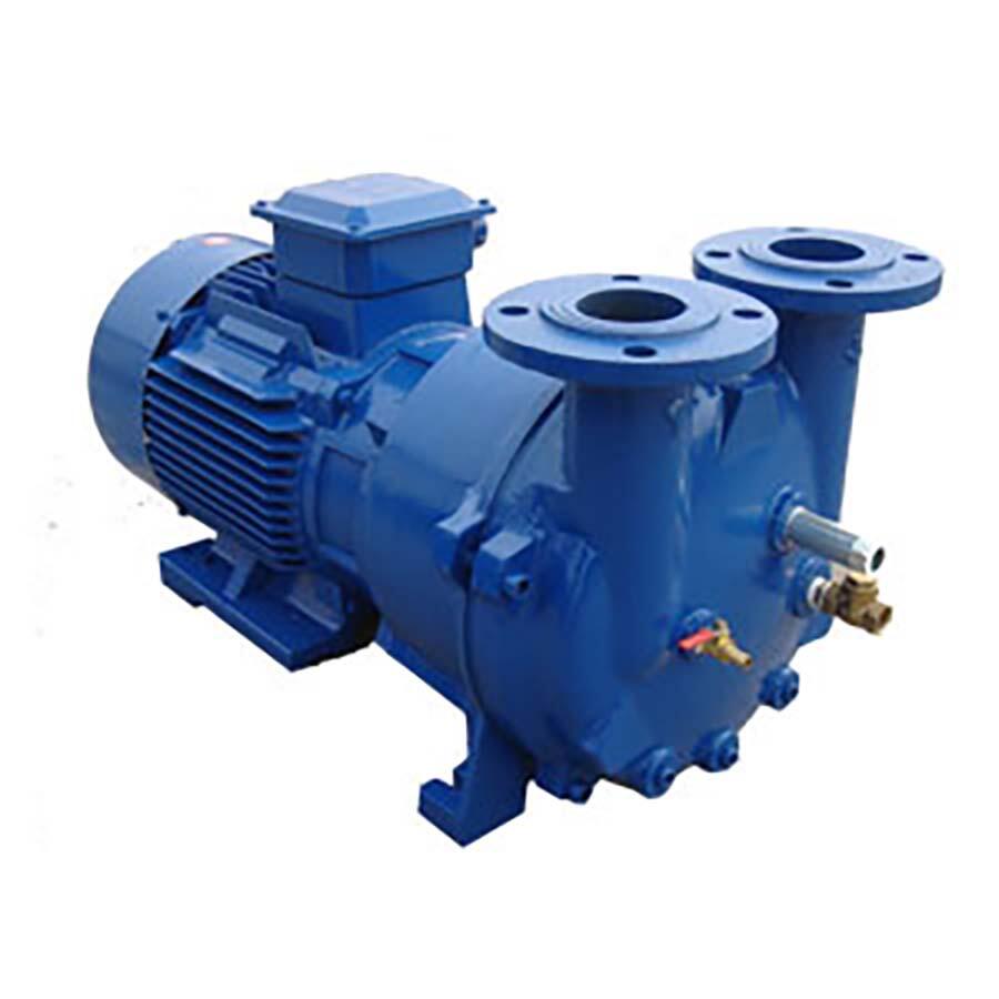 2BV5110 Water Ring Vacuum Pump