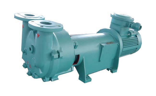 2BV5131 Water Ring Vacuum Pump