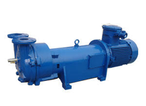 2BV5121 Water Ring Vacuum Pump