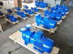 2BV2 071-Ex Liquid Ring Vacuum Pump