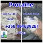 Procaine Hydrochloride Cas 51-05-8 Manufacturer Supply