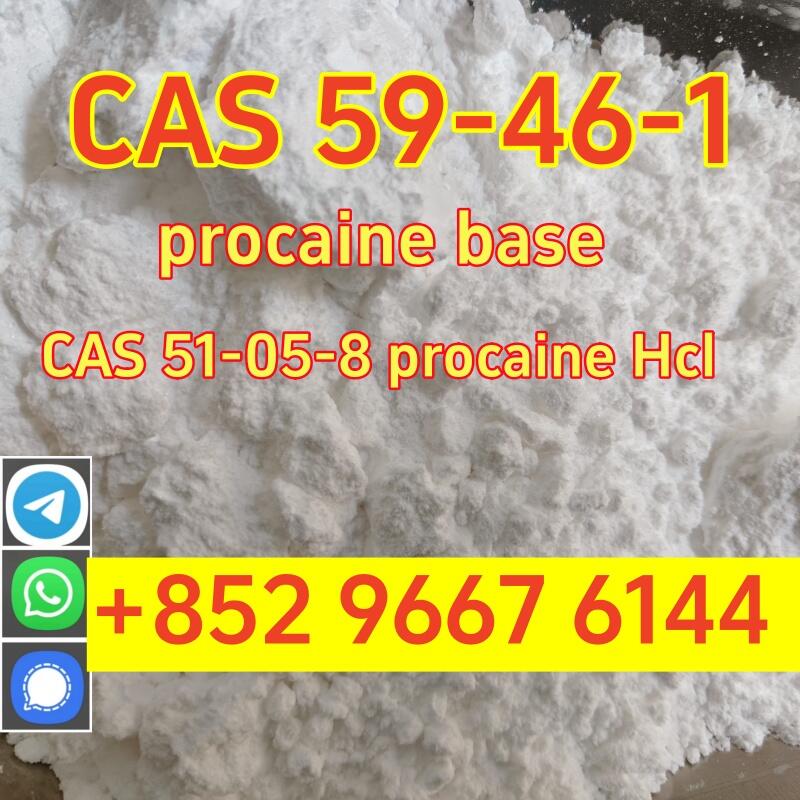 High quality cas 59-46-1 procaine base powder safely delivered to your door