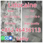 Manufacturer Supply Raw Material CAS 137-58-6 Lidocaine - Раздел: Зоотовары, товары для животных