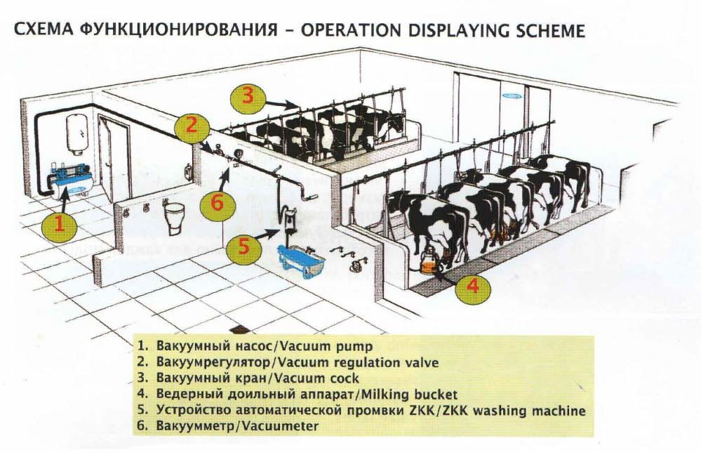 Установка для доения в ведра для 24 голов (4 ведерных аппарата)