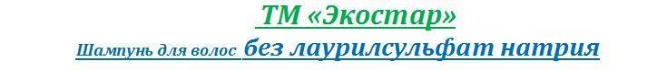 Шампунь Дегтярный ТМ «Экостар»