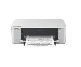 Принтер Epson WorkForce K101, C11CB14301