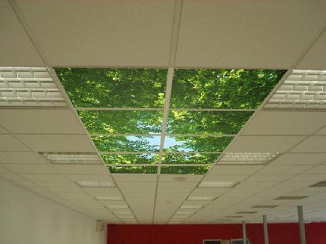 Потолки подвесные стеклянные