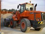 ФРОНТАЛЬНЫЙ ПОГРУЗЧИК DOOSAN DL250 2010 год