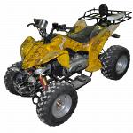 Квадроциклы спортивные ATV 150A(10'')