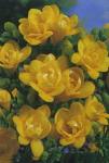 Луковицы цветов Freesia Double Yellow