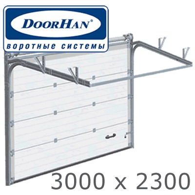 Ворота гаражные секционные ДОРХАН /DoorHan RSD02 3000x2300/