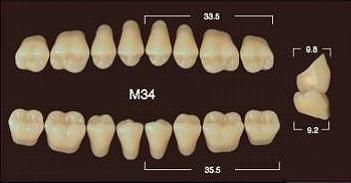 Частичный гарнитур 8шт. Жевательные нижние A3 M34