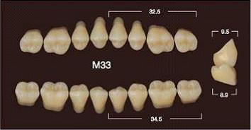 Частичный гарнитур 8шт. Жевательные верхние A3 M33