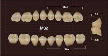 Частичный гарнитур 8шт. Жевательные верхние A4 M32