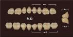 Частичный гарнитур 8шт. Жевательные нижние A3.5 M32