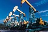 Оборудование нефтегазовое