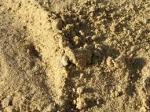Песок мелкий кладочный