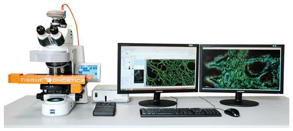 Комплекс для исследования тканей TissueFAXS производства TissueGnostics (Австрия)