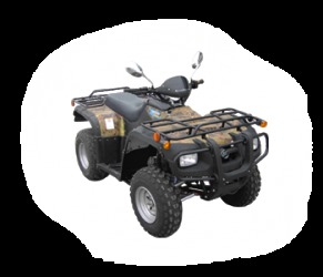 Квадроцикл ATV TL250B