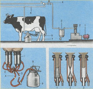 Доильные установки