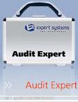 Аналитическая система Audit Expert