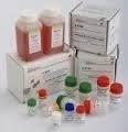 Наборы реагентов для иммуноферментной диагностики  Вектогеп В-HBs-антиген (комплект 7/авто)