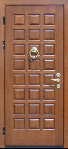 Двери металлические с отделкой из массива