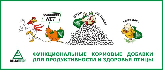 Премиксы (ФКД) для сохранения и восстановления показателей продуктивности и здоровья птицы.