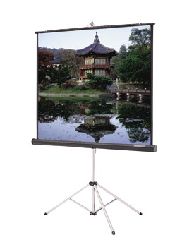 Экран Da-Lite Picture King 109x145, белый матовый