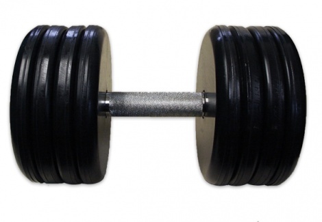 Гантель неразборная MB Barbell MB-FdbEM-B51