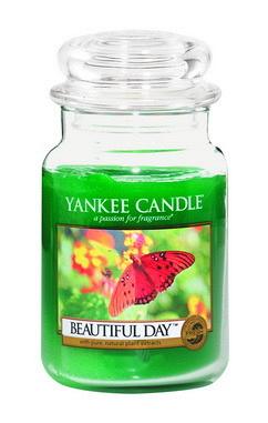 Ароматическая свеча YANKEE CANDLE