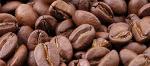 Установки баротермической обработки зернового кофе «Keif Cafe»