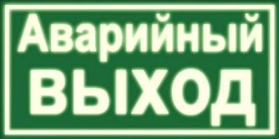 Аварийный выход. Светящийся указатель 30см. х 15см.