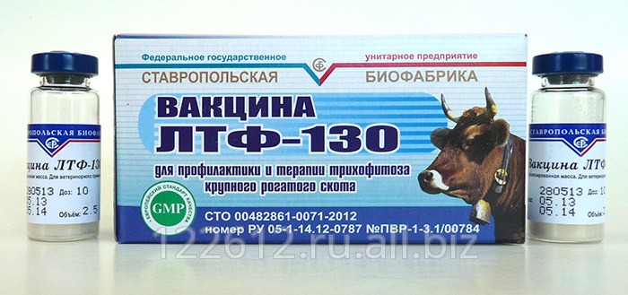 Вакцина ЛТФ-130 для иммунизации против трихофитии сухая, живая