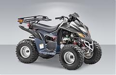 Квадроцикл STELS ATV 110D