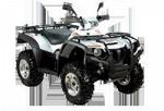 Квадроцикл POLAR FOX ATV600 EFI