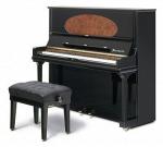 Пианино Bosendorfer 130 - Раздел: Музыка и видеофильмы