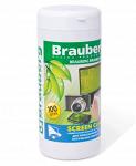 Чистящие салфетки BRAUBERG Screen Clean