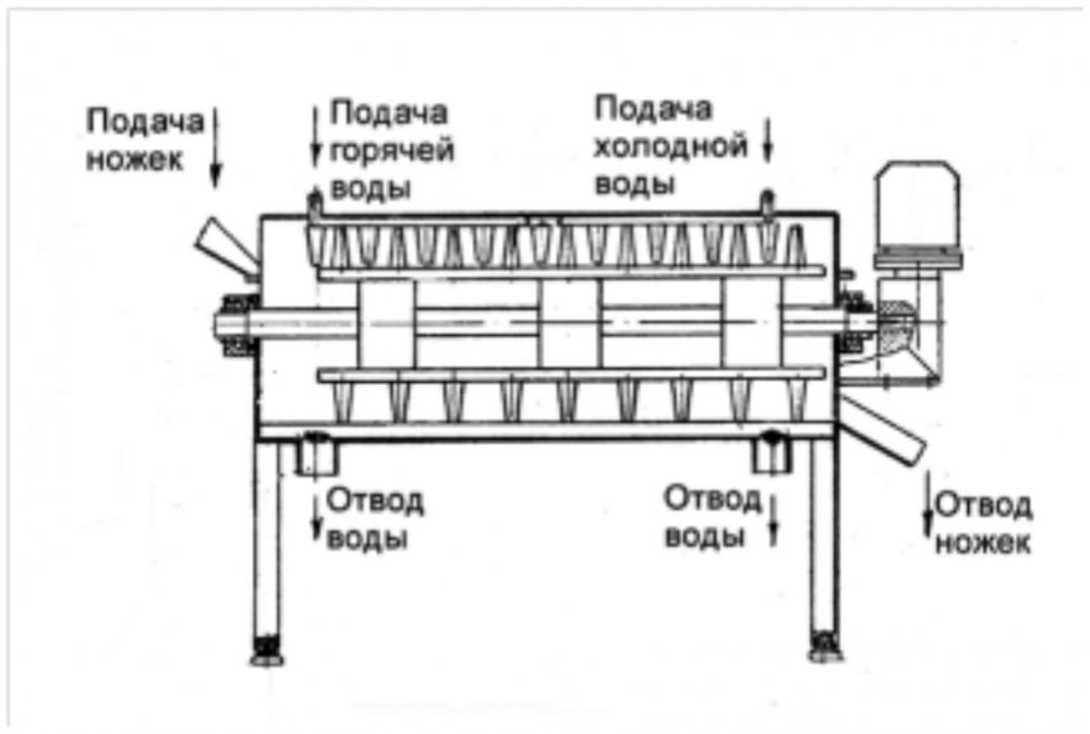 Машина очистки отрезанных ног тушек птицы